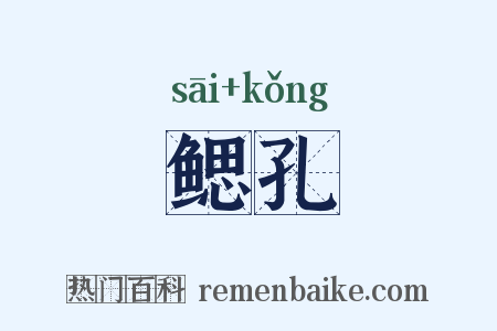 鳃孔是什么意思的图片